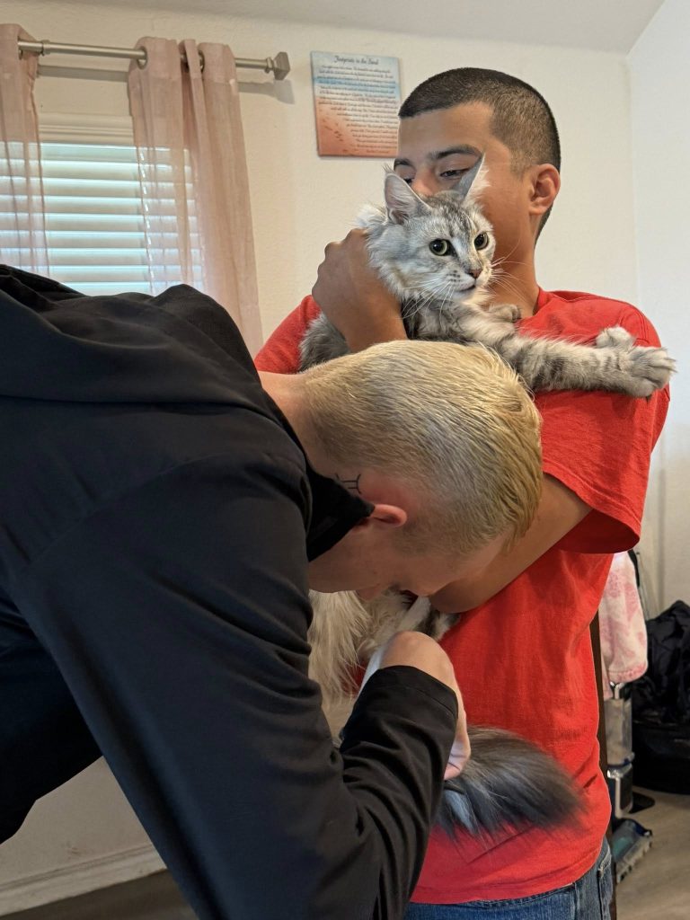 Maine Coon kitten vet care at Rosa’s Maine Coons