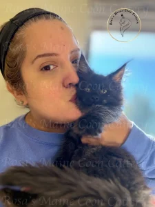 Maine Coon kitten vet care at Rosa’s Maine Coons