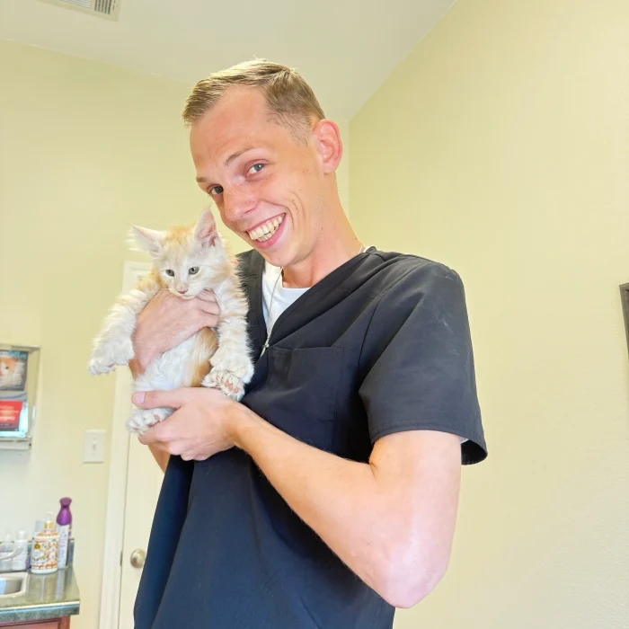 Michael veterinary technician with a Rosa's Maine Coons kitten