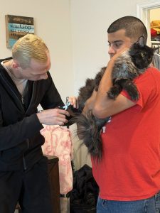 Maine Coon kitten vet care at Rosa’s Maine Coons